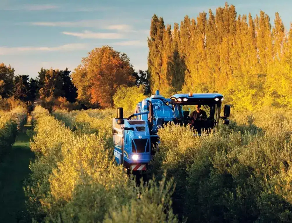 Olive Harvesters